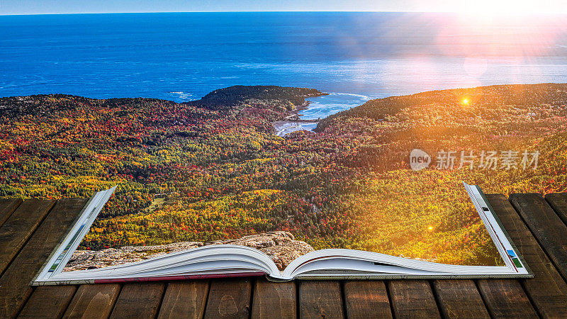在缅因州阿卡迪亚国家公园(Acadia National Park)的木甲板上打开书，欣赏秋景